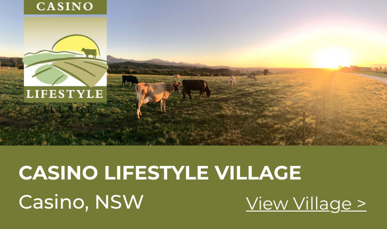 Casino Lifestyle Village